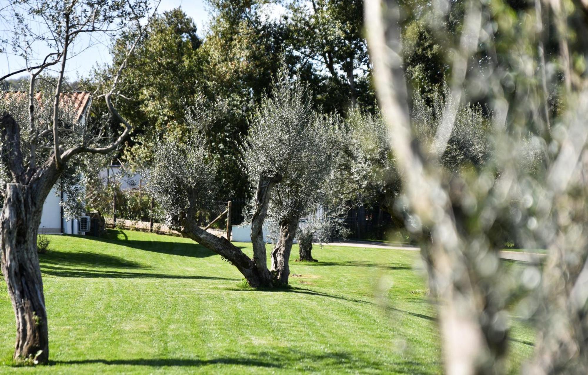 Vigna Caio Relais & Spa (Adults Only) براتشيانو المظهر الخارجي الصورة
